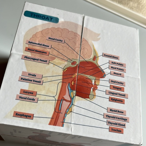 Human anatomy cube - Picture 3 of 6